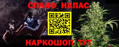 сатива Краснознаменск