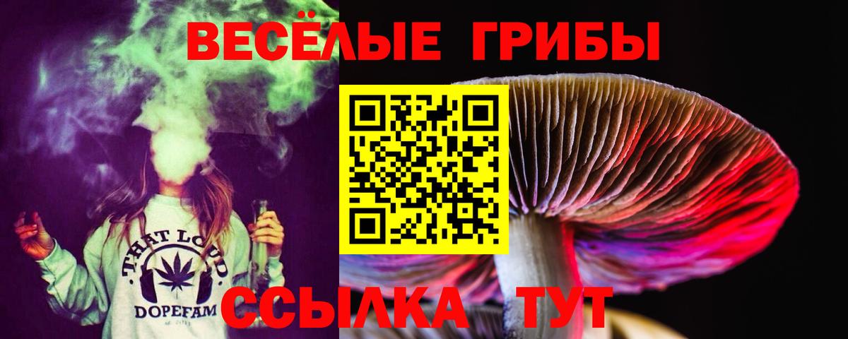 Псилоцибиновые грибы прущие грибы Горно-Алтайск