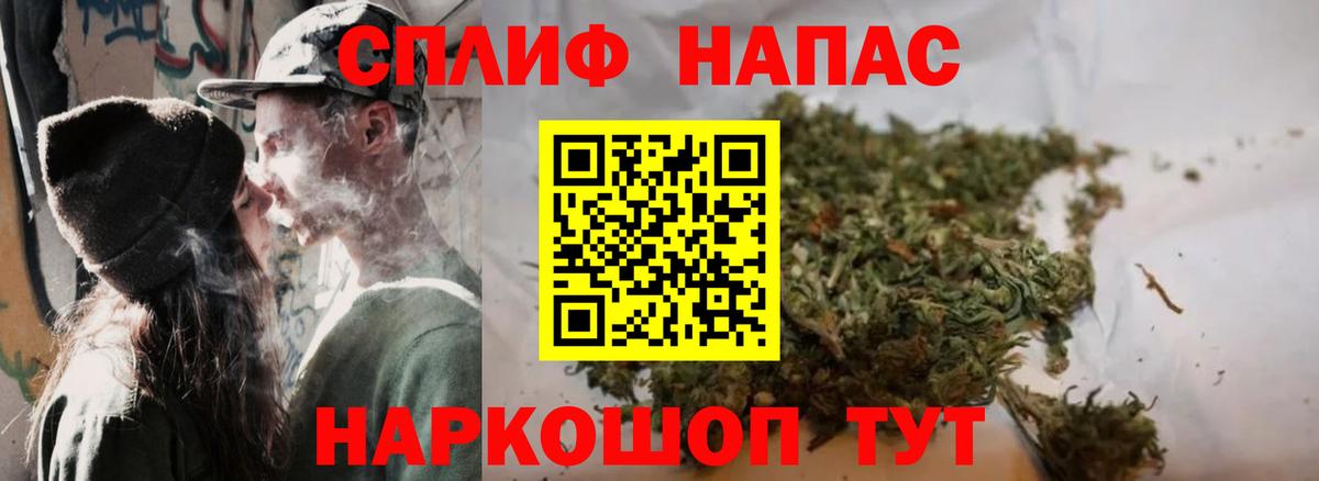 Каннабис конопля  Каннабис конопля  Горно-Алтайск  Вход с VPN 